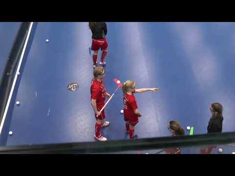 D-tytöt salibandy, LR/SS lohko A