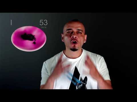 Elementler - Ceza / The Elements - Ceza