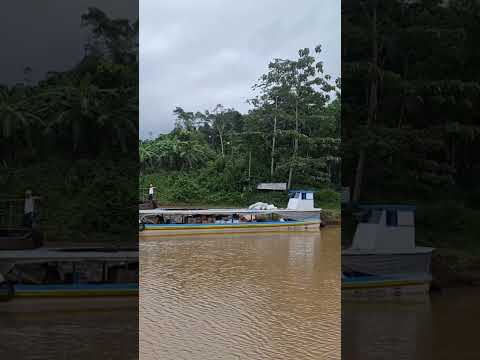 Sábalos Río San Juan Nicaragua 2026