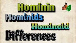 Hominin, Hominids, Hominoid Difference