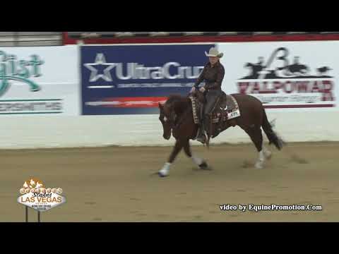 WR Hotshot ridden by Anne M. Albert  - 2019 NRCHA Stallion Stakes (Rein Work, NP Ltd.)