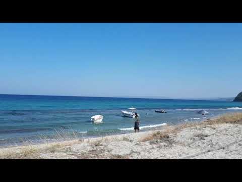 ١١ ديسمبر، ٢٠٢٠(1)