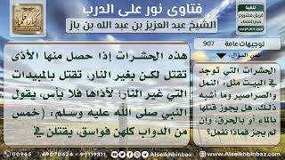 صورة 907 - حكم القتل بالنار للحشرات المؤذية - نور على الدرب