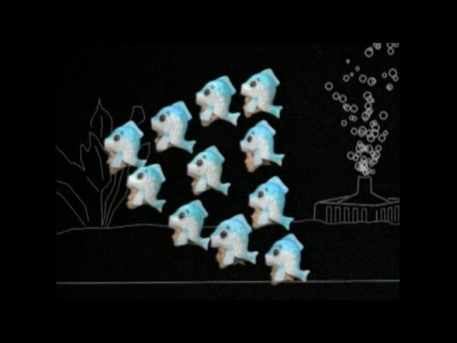 Fish Fight! / 野猿