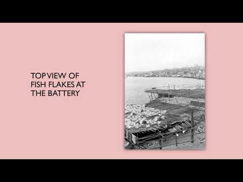 NL History Picture Show: A Fishing Port: St Johns Harbour, Spring 1936