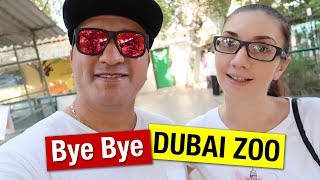 Last Day Of Dubai Zoo | Dubai Zoo Move To Dubai Safari Zoo Park | Dubai Vlogger