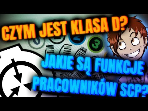 Praca w Fundacji SCP - Struktura Zatrudnienia