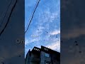 Poi Vazhva Song Lyrics Whatsapp Status Tamil Tamilstatus Status Trending Whatsapp Status Shorts