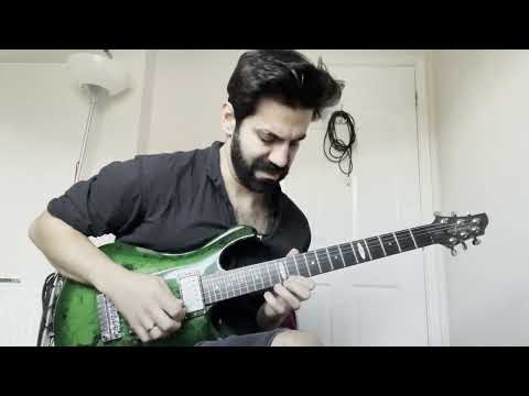 Fusion Solo (Flaxwood Rauitia Guitar)