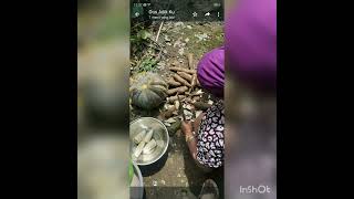 Download lagu #foto keluarga di kampung# mp3 Download lagu #foto keluarga di kampung# mp3