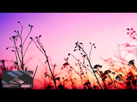 Attila Syah & Ramsey Westwood - Horizon (Extended Mix)