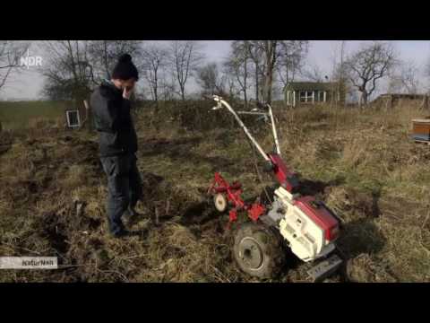 Der für die Bäume kämpft