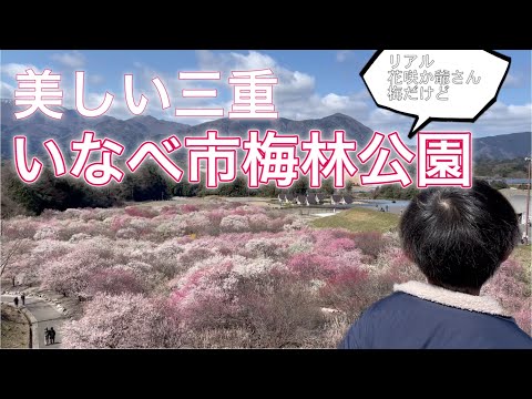 いなべ市梅林公園（