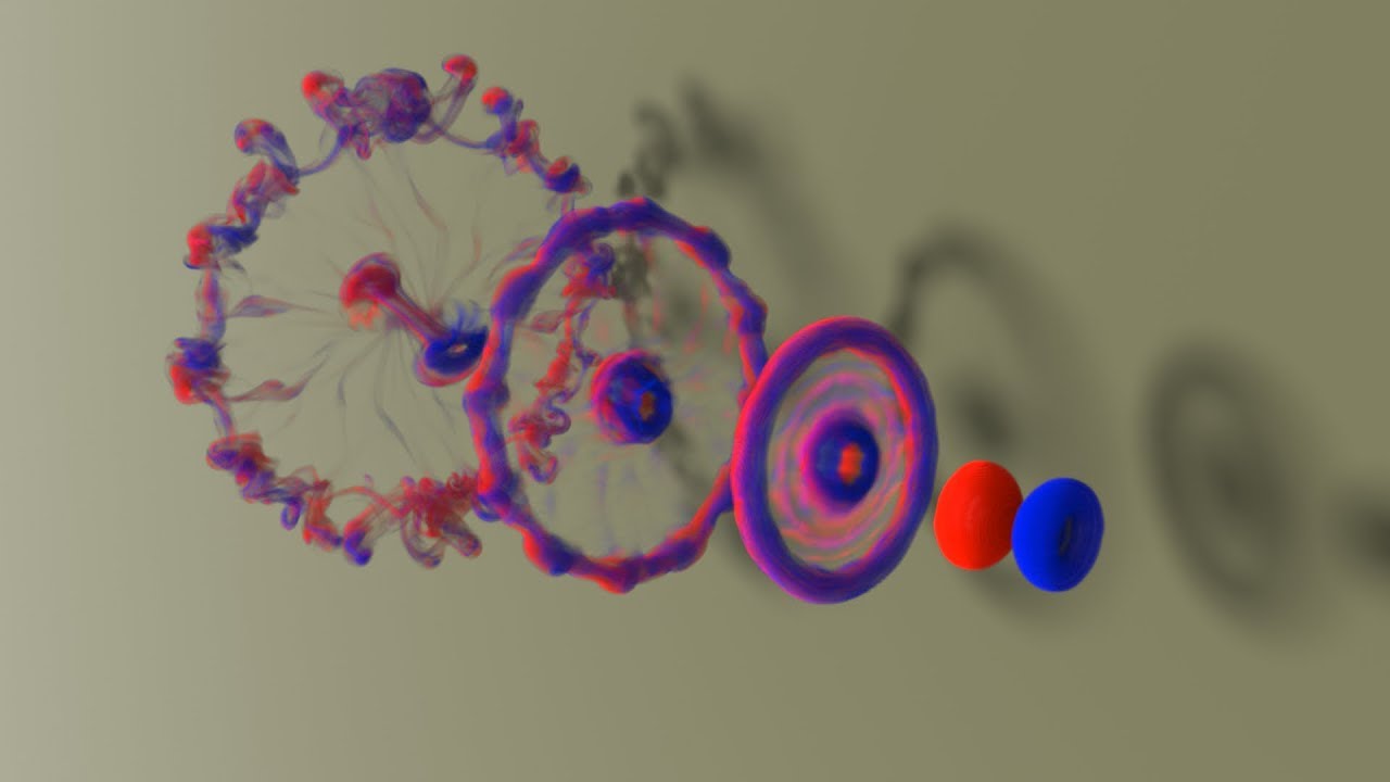 (SIGGRAPH 2019)Efficient and Conservative Fluids Using Bidirectional Mapping