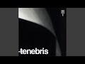 Scarab (Original Mix)