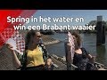 Win een Brabant waaier