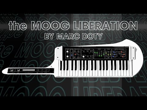 Moog Liberation 1980 - 1981 - White / Black image 10