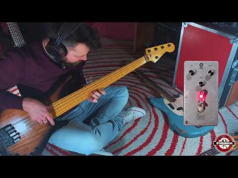 Senti come suona il: DoPhix David Over Distortion!