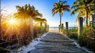 Family Quick Getaway to Florida II Part I