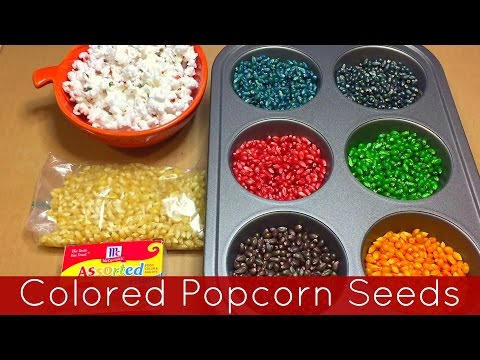 download lagu mp3 mp4 Blue Popcorn Kernels, download lagu Blue Popcorn Kernels gratis, unduh video klip Blue Popcorn Kernels