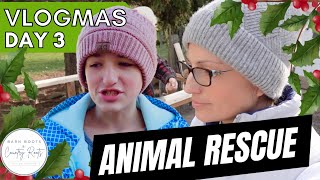 VLOGMAS 2023: DAY 3 - SHE WON'T SURVIVE THE NIGHT!