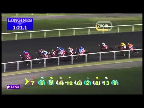 08.11.2012 Meydan (Dubai-UAE) 3.Race Arabian Adventures - 1.900 m