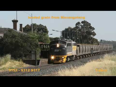 9152 - S312 S317 loaded grain from Manangatang Talbot and Clunes stations