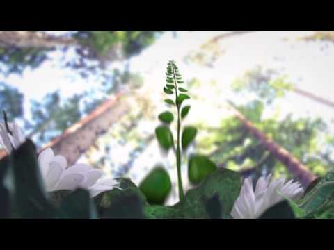 Kalle Mattson - "Hurt People Hurt People" (Official Video)