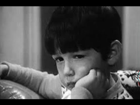 Taulanti kërkon motër (New Version 2016)