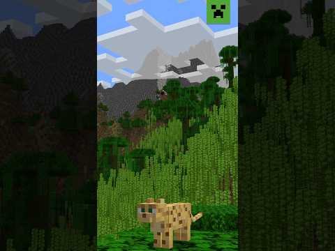 TOP 10 MUST-SEE MINECRAFT SEEDS REVEALED!