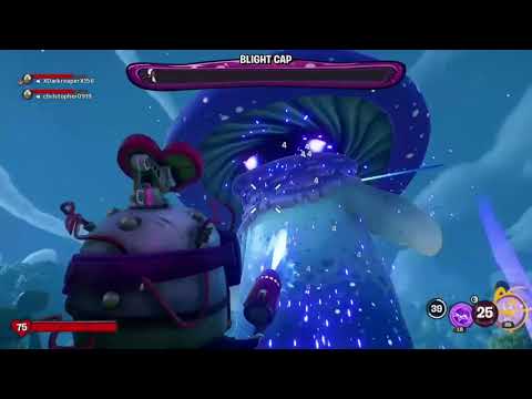 The three impps vs Blight Cap.