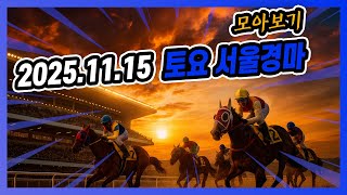 2025년 11월 15일 토요 서울경마 전체경주 모아보기