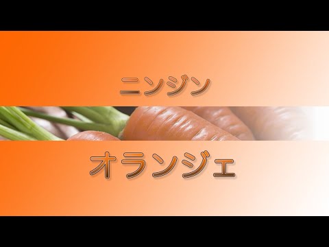 ワスマンニア・オーロプンクタータについて詳しく解説