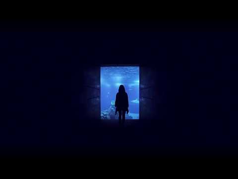 Ssij go - Słoń feat. Peja Gandzior(deerKeej Blend)