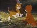 The Fox And The Hound Television Commercial VHS Disney DVD 1999