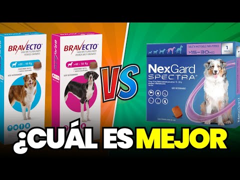 Bravecto vs Nexgard: Which is better? 🤔