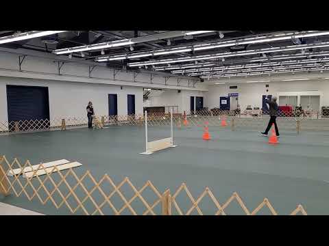 Teresa & Finn 07-09-23