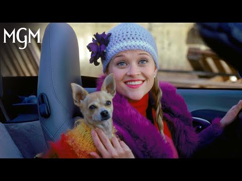 Favorite Elle Woods Quotes