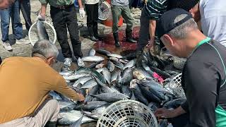 梗枋+光榮定置🐟場買魚2025年3月12日星期三🌤️