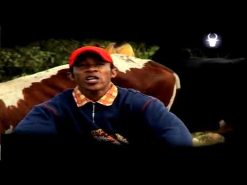 MAJEUR 7 Roapagnolona