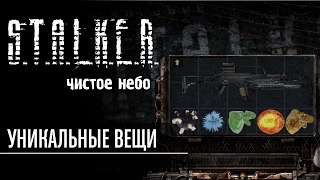 Уникальные вещи в S.T.A.L.K.E.R. Чистое Небо