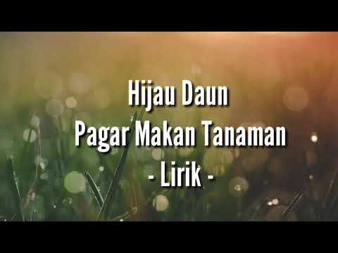 Hijau Daun - Pagar Makan Tanaman (Lirik Cover)