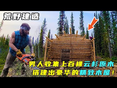 荒野建造：男人收集上百棵云杉原木，搭建出豪华的精致木屋！