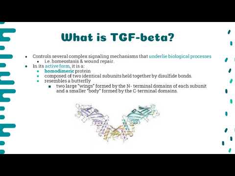 Video presentation: TGF-beta 