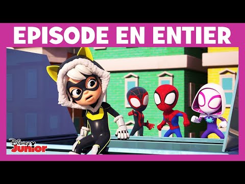 Rencontre Spidey et ses amis extraordinaires - Épisode : Bonjour Félicia