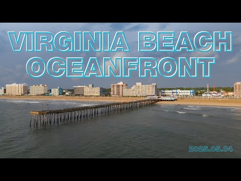 Oceanfront and Calypso Bar & Grill Curated