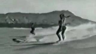 The Newport Nomads - Harem Bells.wmv