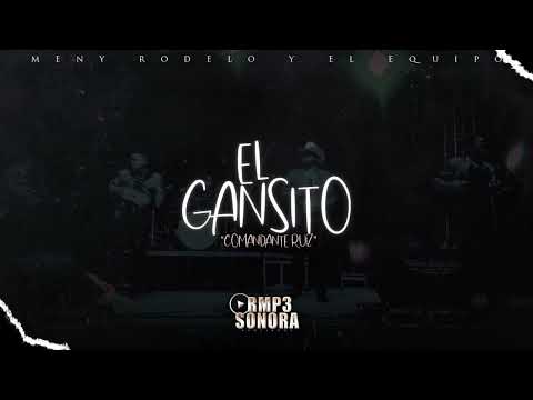 El gansito Meny Rodelo