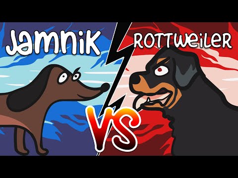 jamnik waleczne serce - bezsens