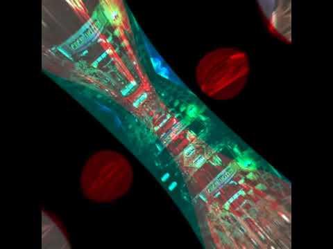 Culture Pushaz Collective & Dj Dirty Harry